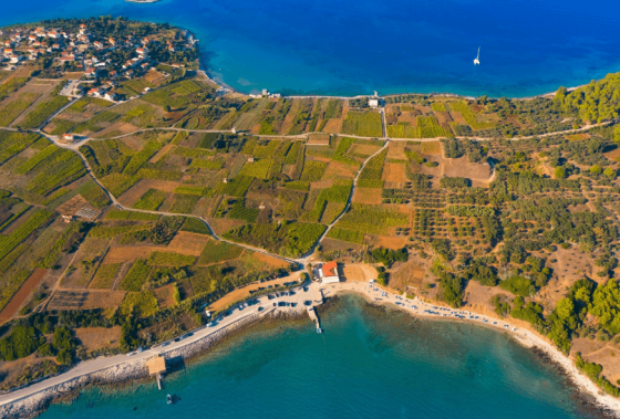 Javni natječaj za izbor i imenovanje direktora/direktorice Turističke zajednice Općine Lumbarda